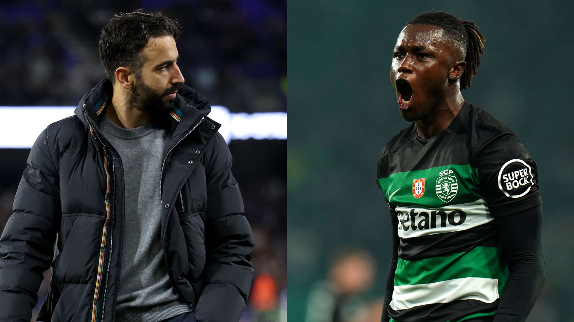 了多样化的 了多样化的