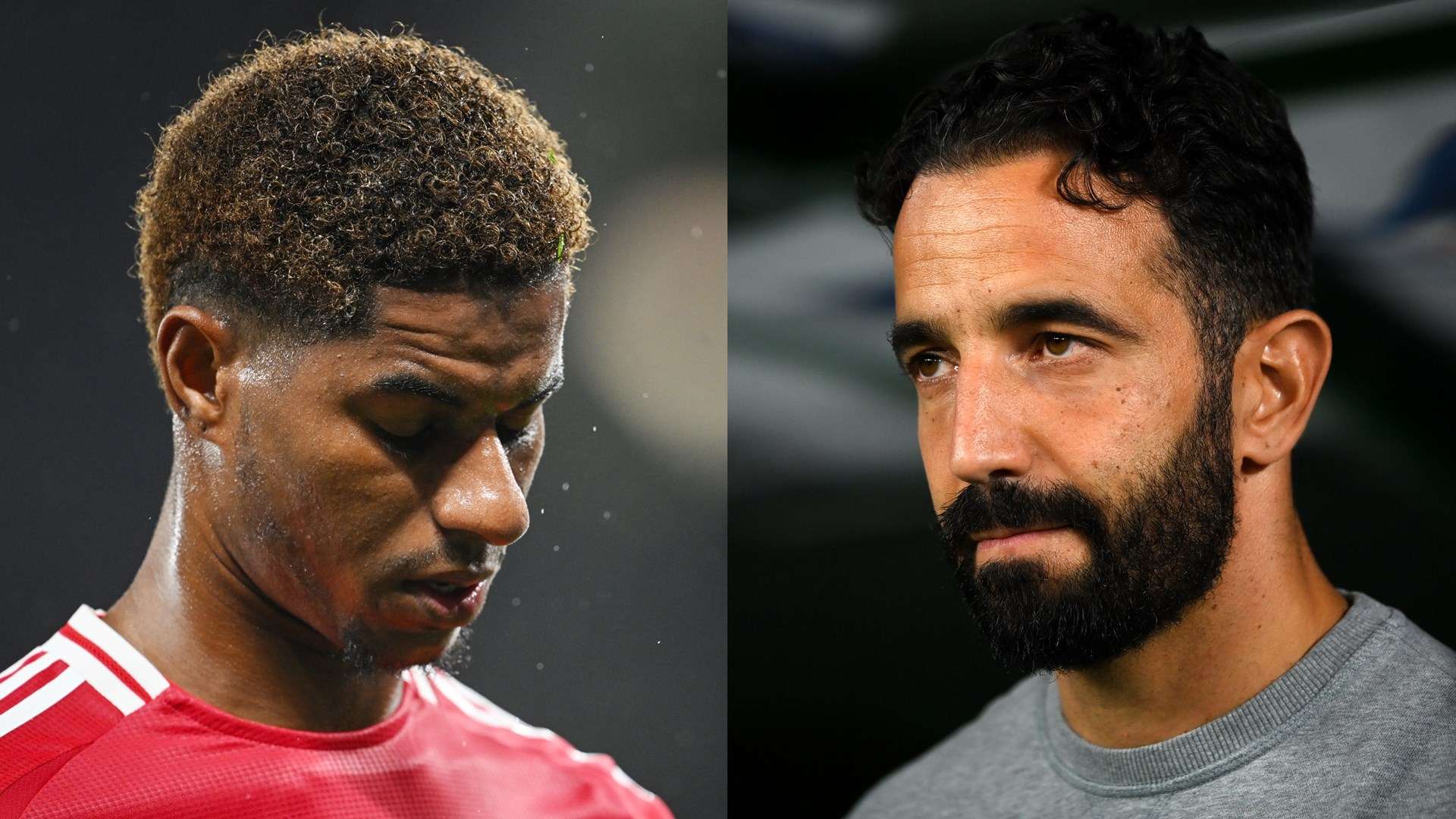 化为成长动 化为成长动