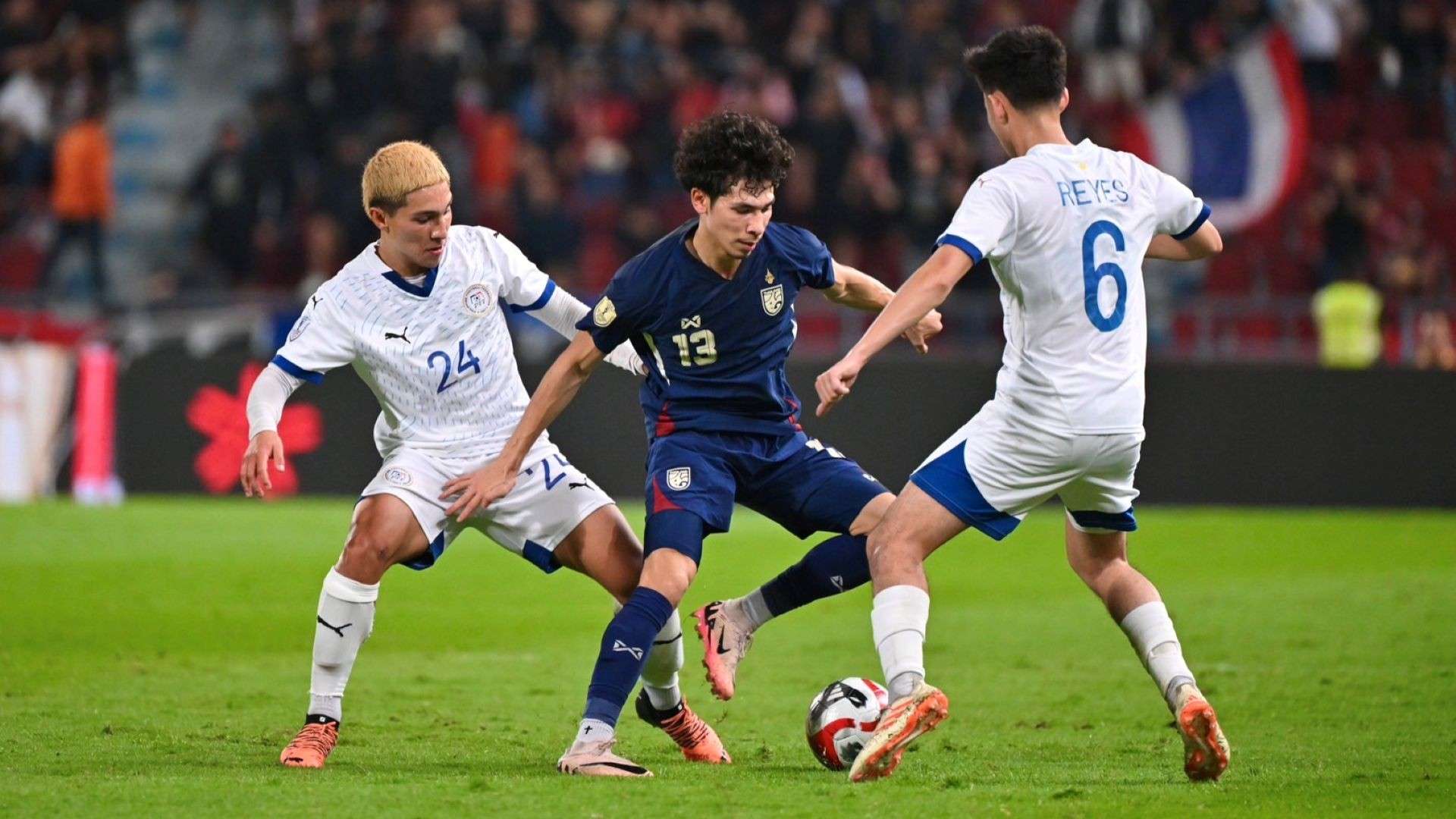 因地制宜 因地制宜